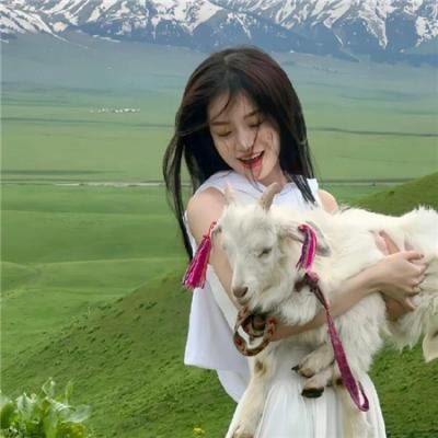 受伤的小鹿